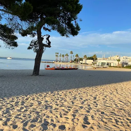 Vie Del Mediterraneo *
