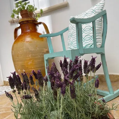 Bed & Breakfast B&B Vie Del Mediterraneo Porto Cesareo