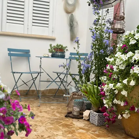 B&B Vie Del Mediterraneo Bed & Breakfast Porto Cesareo